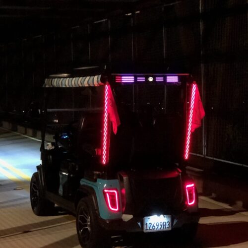Evolution Golf Cart D5 Lighted Whip kit